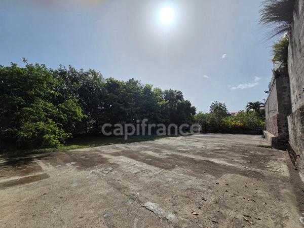 Propriété rare avec maison + 3 logements indépendants – 1850 m² constructible – Basse-Terre centre
