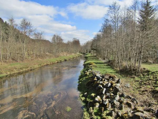 Vente Appartement 2 pièces 61 m2 à Celles-sur-Plaine