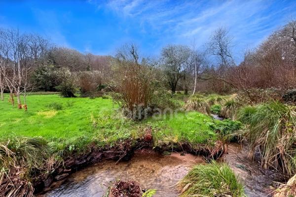 Terrain non constructible - 7138m² de nature - Prairie, ruisseau et tranquillité absolue Quimper (29)