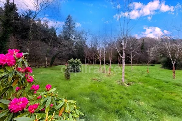 Terrain non constructible - 7138m² de nature - Prairie, ruisseau et tranquillité absolue Quimper (29)