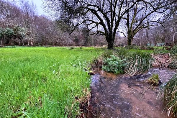 Terrain non constructible - 7138m² de nature - Prairie, ruisseau et tranquillité absolue Quimper (29)