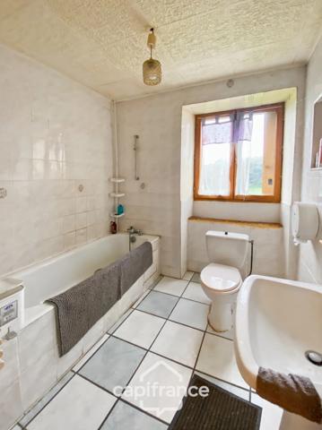 Propriété à vendre composée de 2 maisons - 11 pièces DOMMARTIN LES CUISEAUX (71) sur 1,1 hectare de terrain.