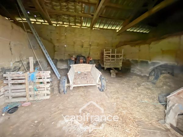 Propriété à vendre composée de 2 maisons - 11 pièces DOMMARTIN LES CUISEAUX (71) sur 1,1 hectare de terrain.