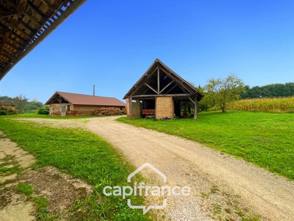 Propriété à vendre composée de 2 maisons - 11 pièces DOMMARTIN LES CUISEAUX (71) sur 1,1 hectare de terrain.