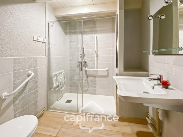 Propriété à vendre composée de 2 maisons - 11 pièces DOMMARTIN LES CUISEAUX (71) sur 1,1 hectare de terrain.