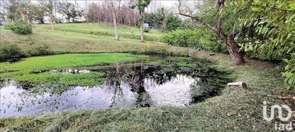Maison 3 pièces de 72 m² à La Roche-Chalais (24490)