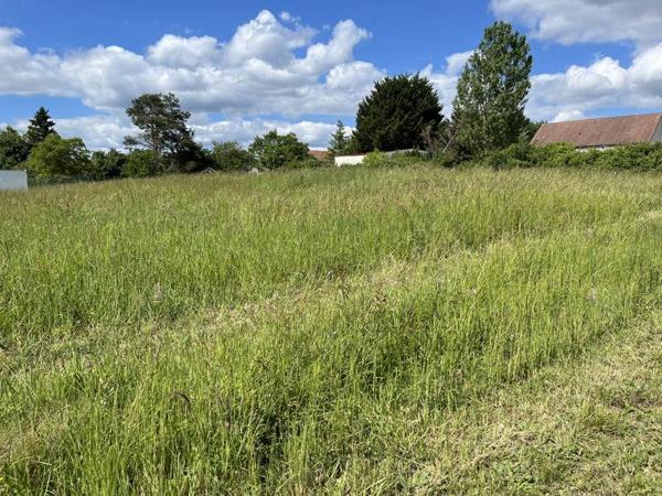 Terrain à vendre |                                       Choussy |                                          2670 m²