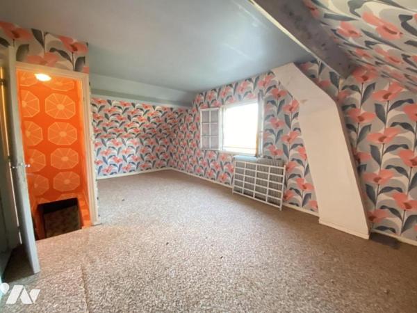 Meulière  a rénover  Villemandeur 45700