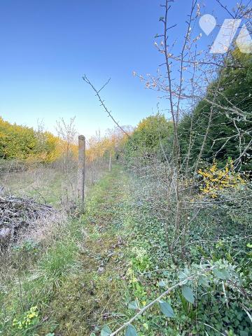 Meulière  a rénover  Villemandeur 45700