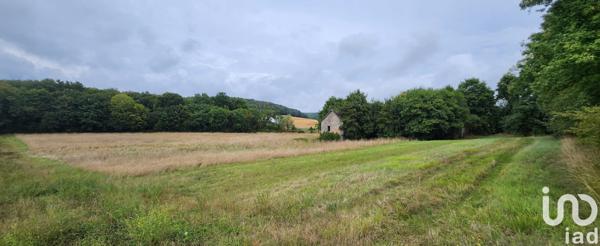 Terrain à vendre 14 415 m² Cunfin