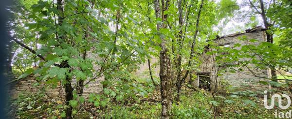 Terrain à vendre 14 415 m² Cunfin