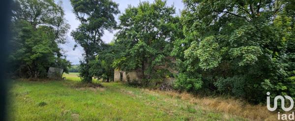 Terrain à vendre 14 415 m² Cunfin