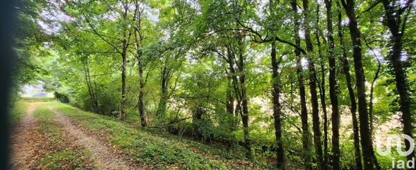 Terrain à vendre 14 415 m² Cunfin