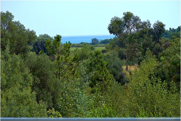 Maison à SOLARO, 20240 - 7 pièces 250m²