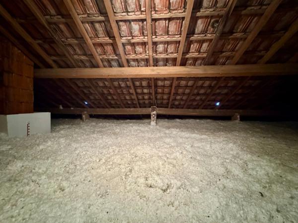 Charmant pavillon indépendant de 140 m² avec sous-sol et jardin arboré