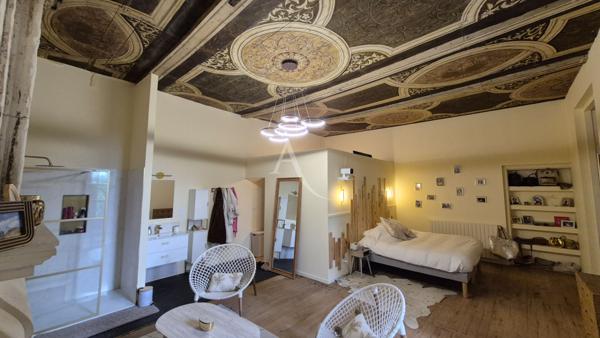 Domaine d'Exception au Coeur de Romegoux