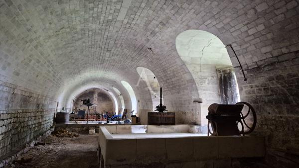 Domaine d'Exception au Coeur de Romegoux