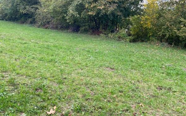 Terrain à vendre    La Roche-sur-Foron