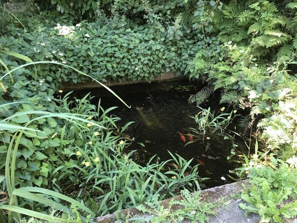 Maison à vendre à Baud dans le Morbihan (56150), ref : 56064-1452