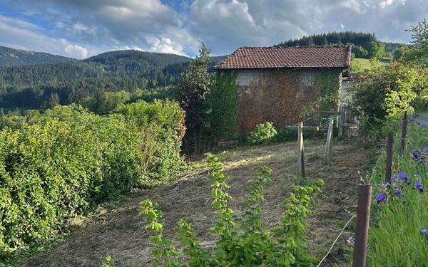 Maison à vendre    3 pièces •  Doizieux