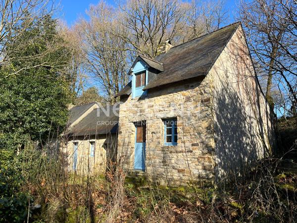 Lizio campagne : ensemble de gîtes de 250 m² - Environnement champêtre, gros potentiel