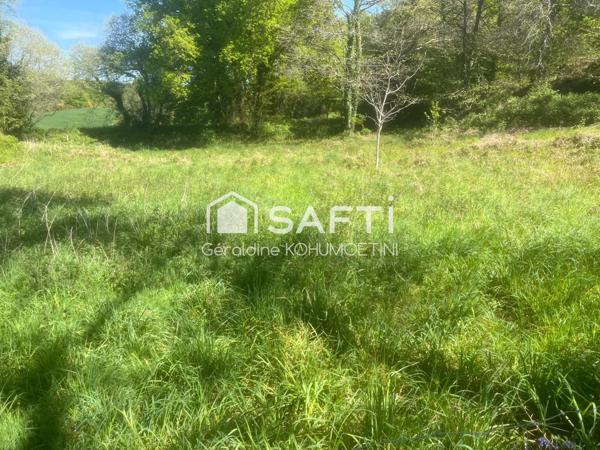 Grange en pierres- Fort potentiel-–Terrain 1800m2