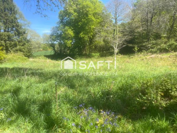 Grange en pierres- Fort potentiel-–Terrain 1800m2