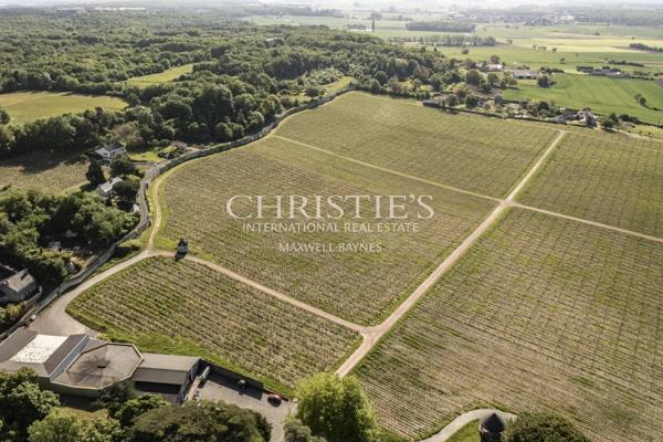 Château avec son vignoble Saumur AOC de 15Ha entre Chinon et Saumur
