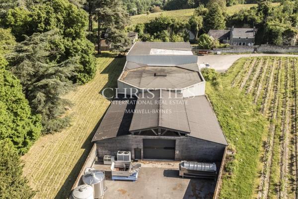 Château avec son vignoble Saumur AOC de 15Ha entre Chinon et Saumur