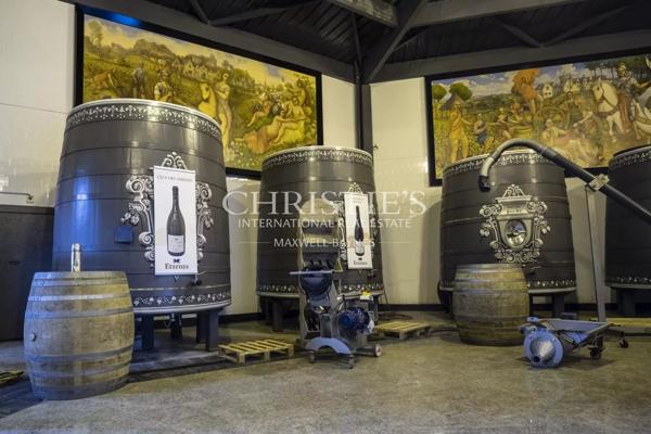 Château avec son vignoble Saumur AOC de 15Ha entre Chinon et Saumur