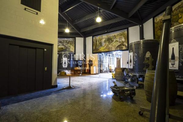 Château avec son vignoble Saumur AOC de 15Ha entre Chinon et Saumur