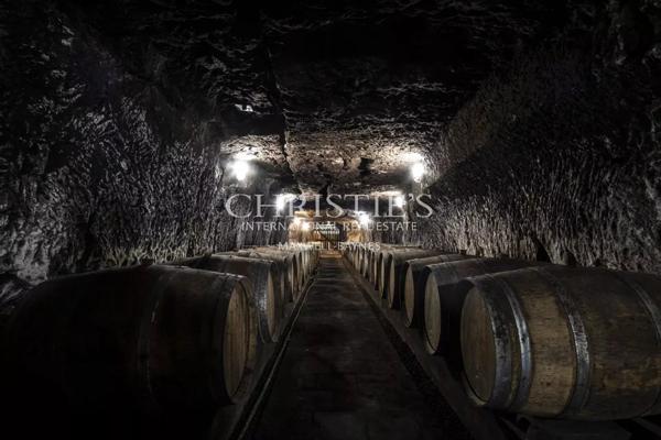 Château avec son vignoble Saumur AOC de 15Ha entre Chinon et Saumur