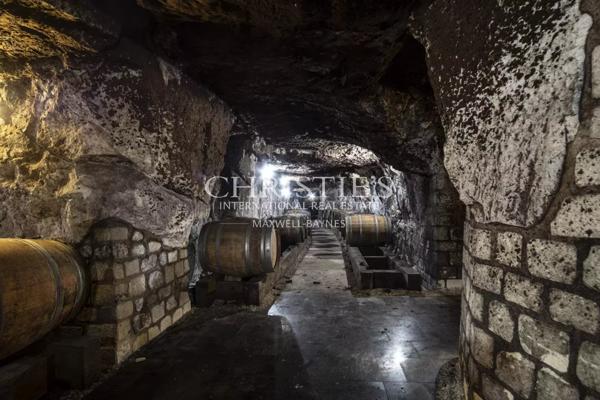 Château avec son vignoble Saumur AOC de 15Ha entre Chinon et Saumur