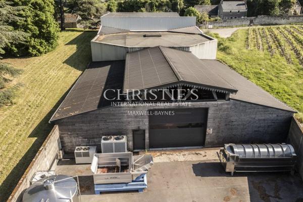 Château avec son vignoble Saumur AOC de 15Ha entre Chinon et Saumur