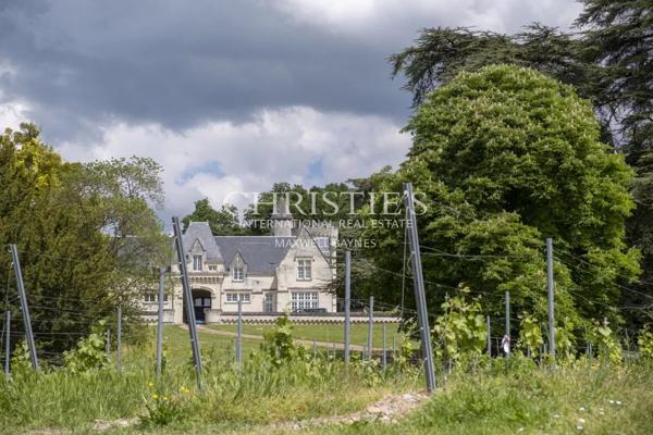 Château avec son vignoble Saumur AOC de 15Ha entre Chinon et Saumur