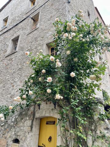 Maison à vendre à Flayosc (83780) - Var