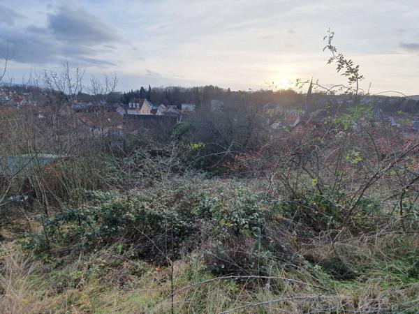 Ensemble immobilier d'environ 420 m2 au sol à Niederbronn-les-bains.