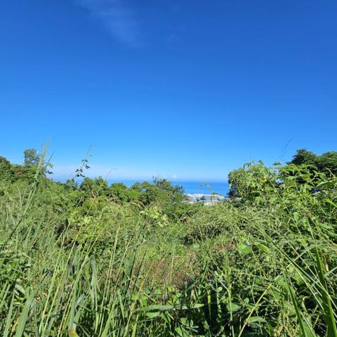 Vente Terrain380 m² - BELLEMENE (97460)