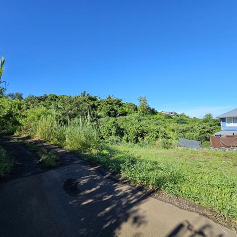 Vente Terrain380 m² - BELLEMENE (97460)