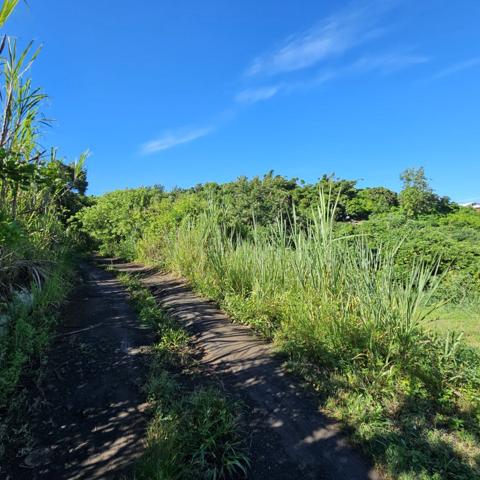 Vente Terrain380 m² - BELLEMENE (97460)