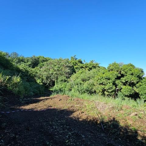 Vente Terrain380 m² - BELLEMENE (97460)