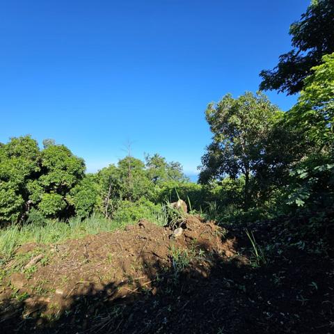 Vente Terrain380 m² - BELLEMENE (97460)