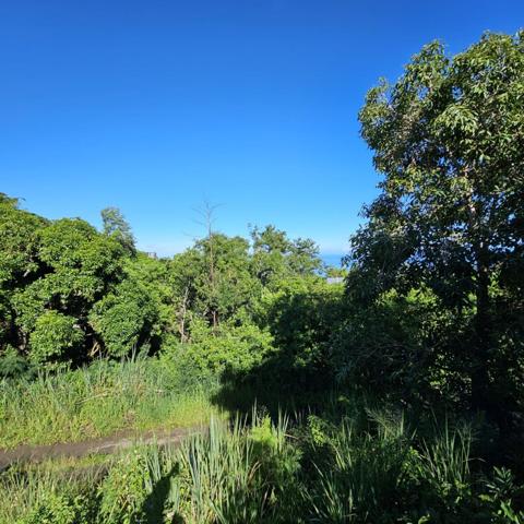 Vente Terrain380 m² - BELLEMENE (97460)