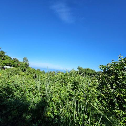 Vente Terrain380 m² - BELLEMENE (97460)