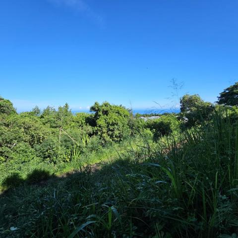 Vente Terrain380 m² - BELLEMENE (97460)