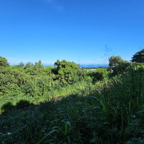 Vente Terrain380 m² - BELLEMENE (97460)