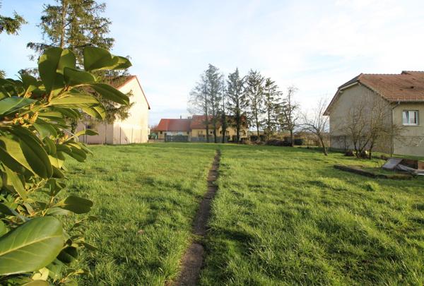 Sarralbe (57430) Charmante maison familiale 9 pièces 251 m²