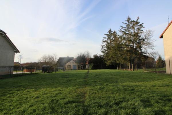 Sarralbe (57430) Charmante maison familiale 9 pièces 251 m²