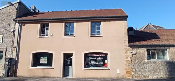 Local professionnel à vendre à Langres en Haute-Marne (52200), ref : 52020-923808