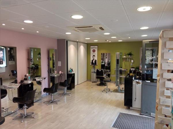 Local professionnel à vendre à Langres en Haute-Marne (52200), ref : 52020-923808